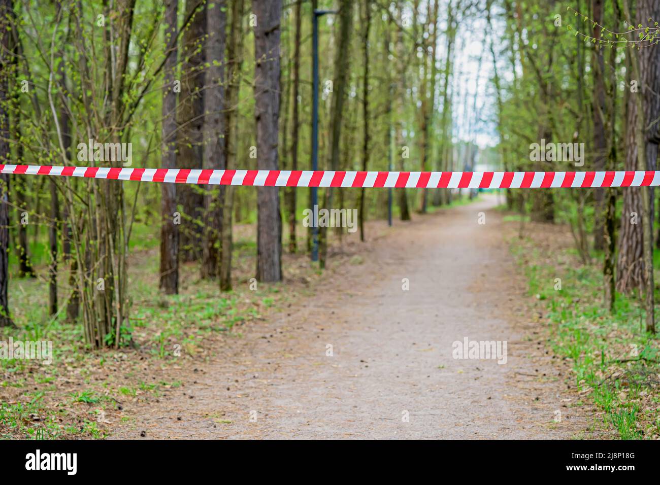 Finishing line ribbon in forest, sport outdoors. Sport, country activity concept. Red and white striped warning barrier tape in forest Stock Photo