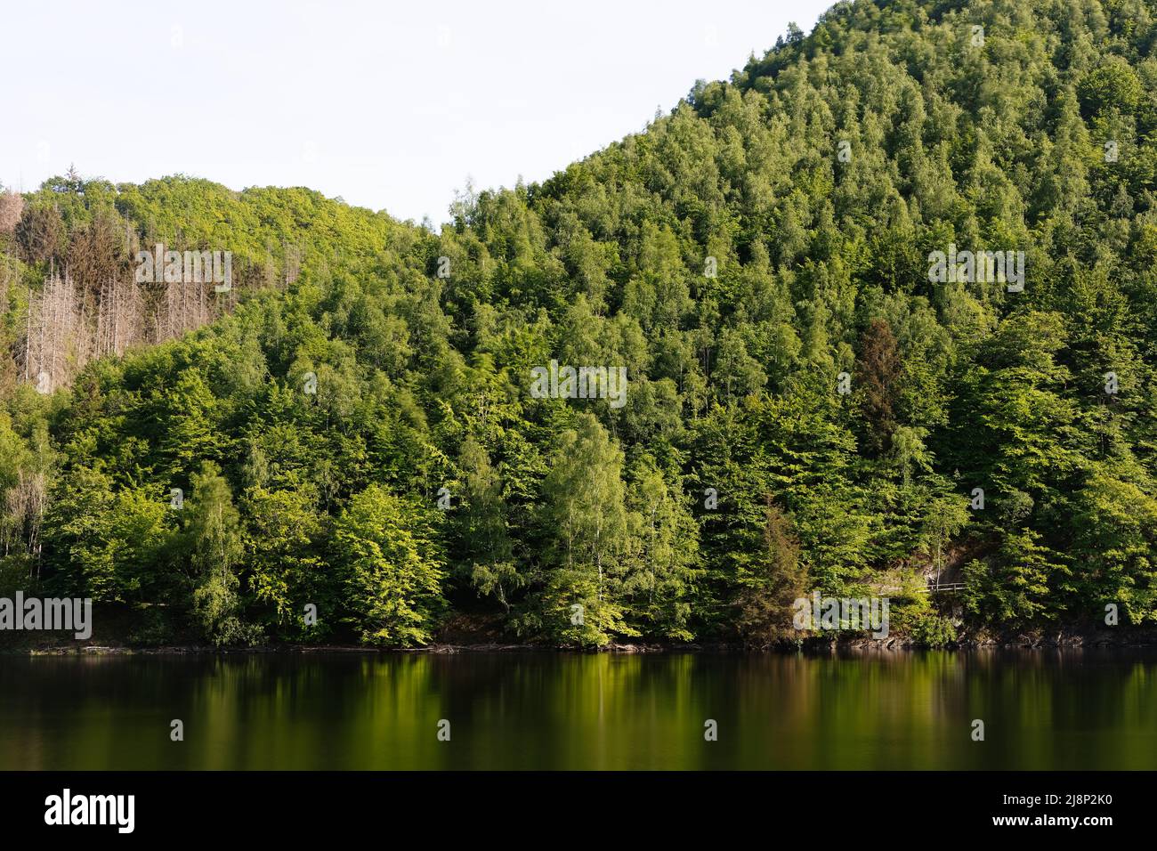 Obersee reflection view hi-res stock photography and images - Alamy