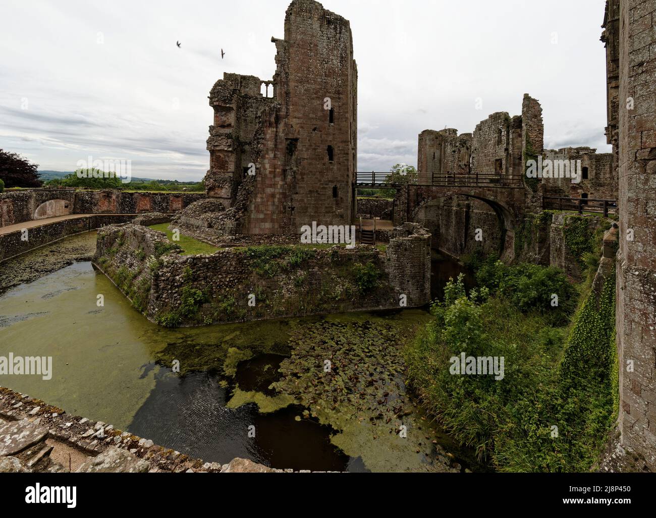 Raglan Castle, South Wales, UK Stock Photo