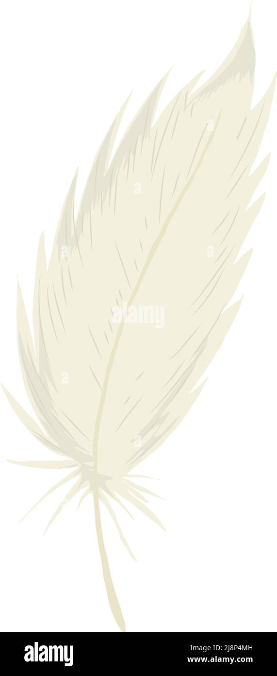white bird feather Stock Vector Image & Art - Alamy