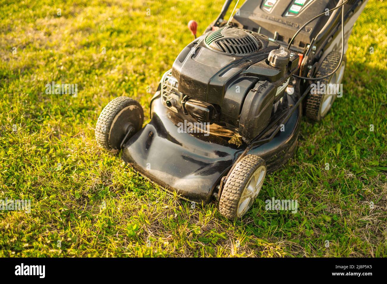 Lawn mower cutting green grass Stock Photo Alamy