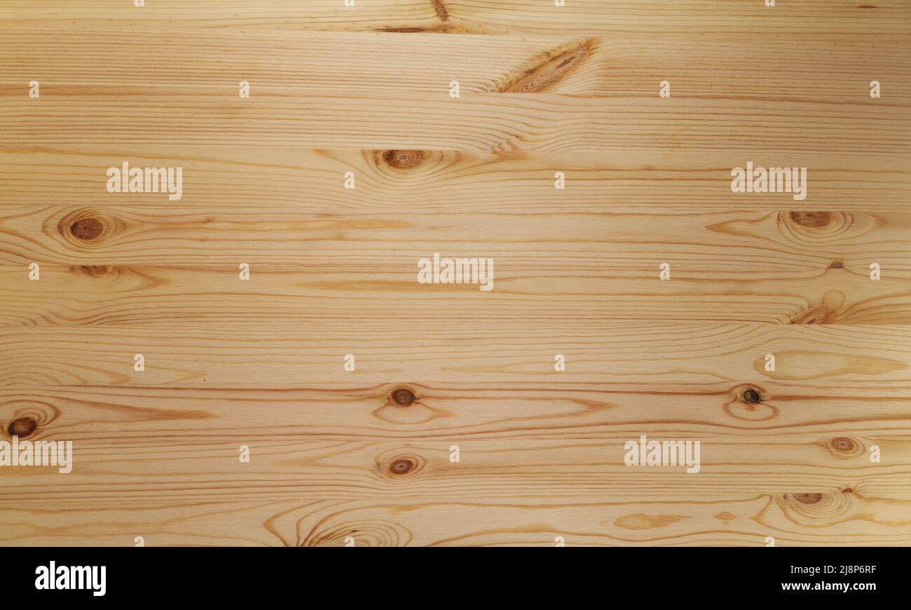 New wooden wall made made of pine wood boards, close up, background photo texture Stock Photo