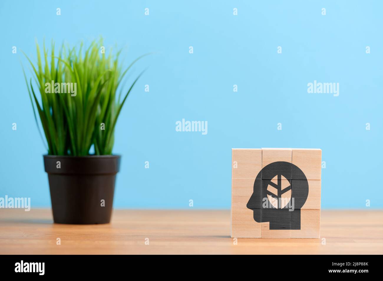 Ecology concept, wooden blocks with icon of sustainable green renewable innovation ecology think inspiration on blue background Stock Photo