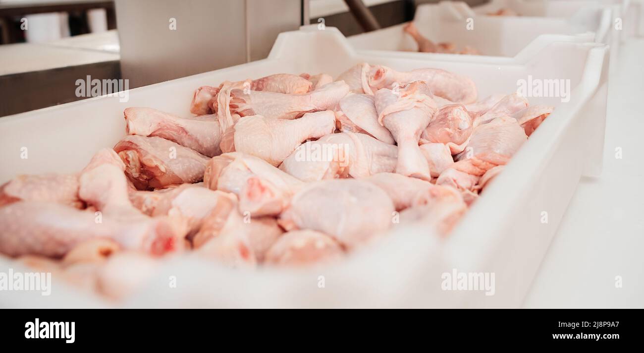 Conveyor Belt Food.The meat factory.Automated production line in modern ...