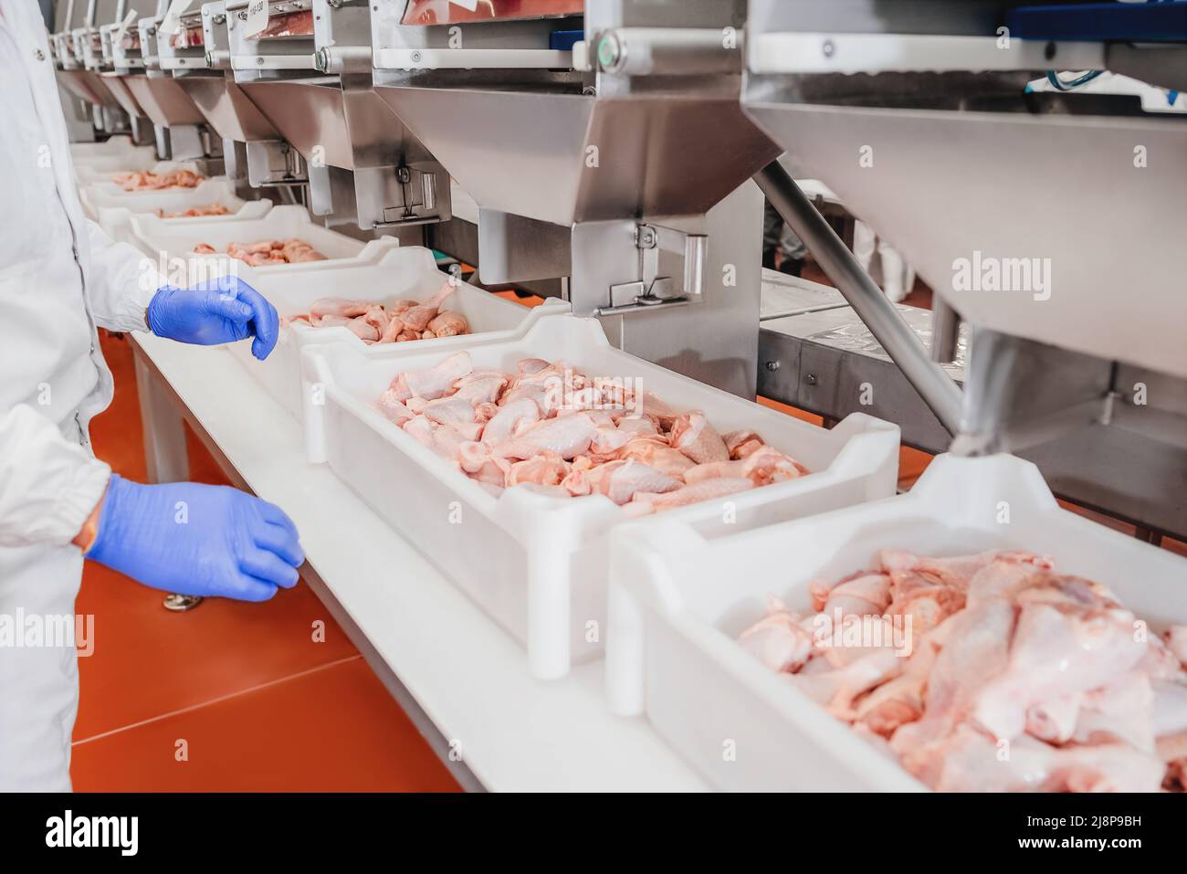 Factory for the production of food from meat,poultry.Conveyor Belt Food ...