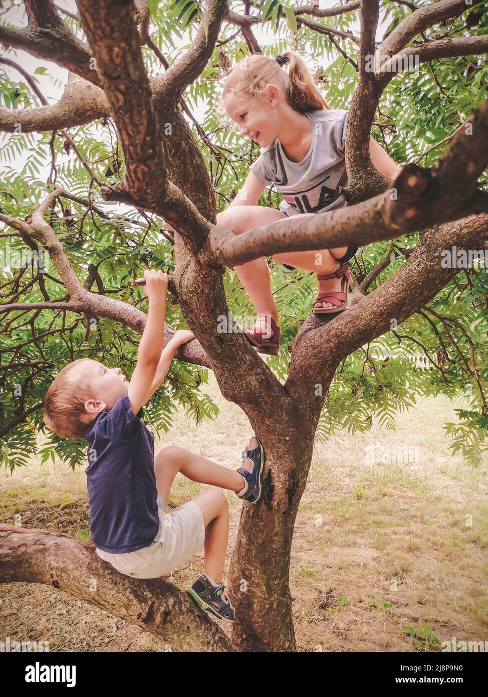 two children climbed a tree. boy and girl playing outdoors Stock Photo