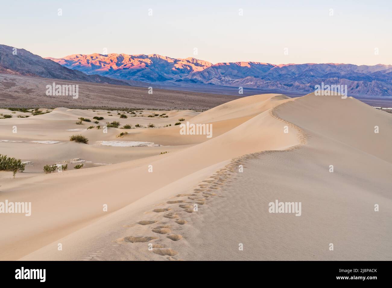 Trail of footsteps along the rolling sand dunes at Mesquite Flats in Death Valley National Park at sunrise Stock Photo