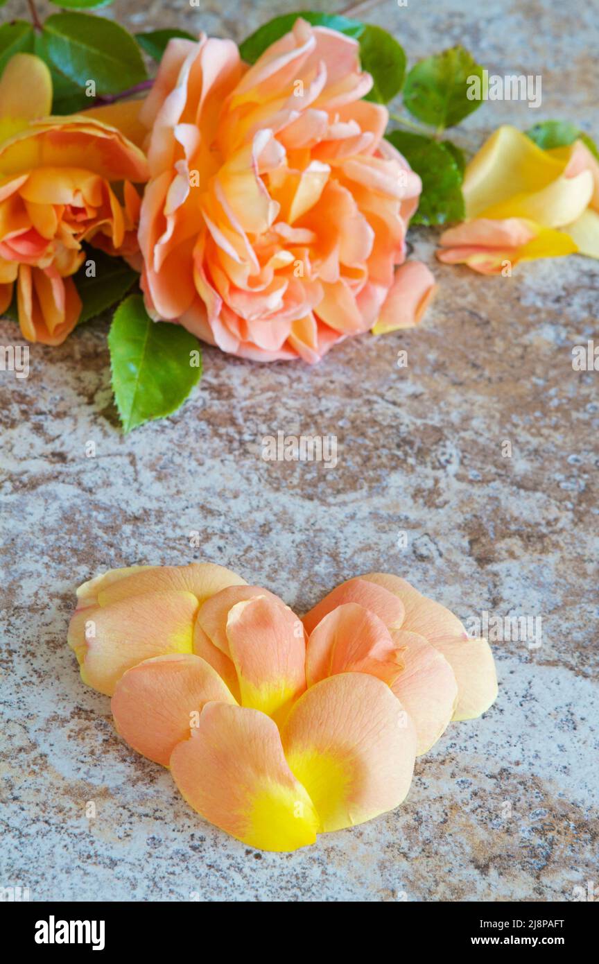 A heart made of pale orange and yellow rose petals with flowers in the