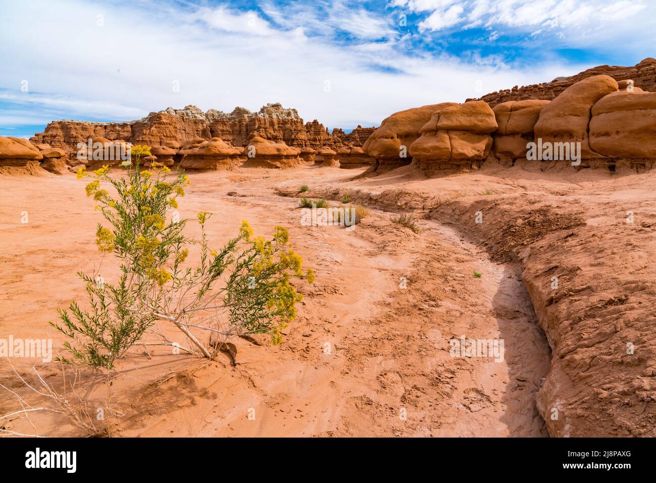 Amazing Hoodoo Rock Formations at Goblin Valley State Park in Utah Stock Photo