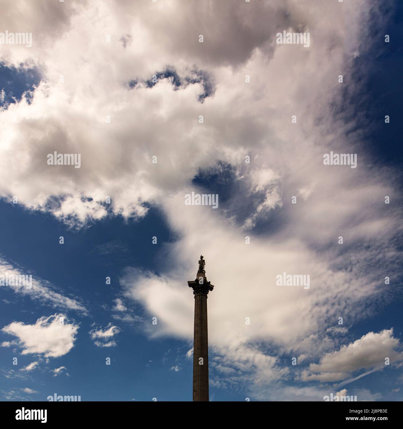 Nelson's Column in Trafalgar Square; designed by William Railton