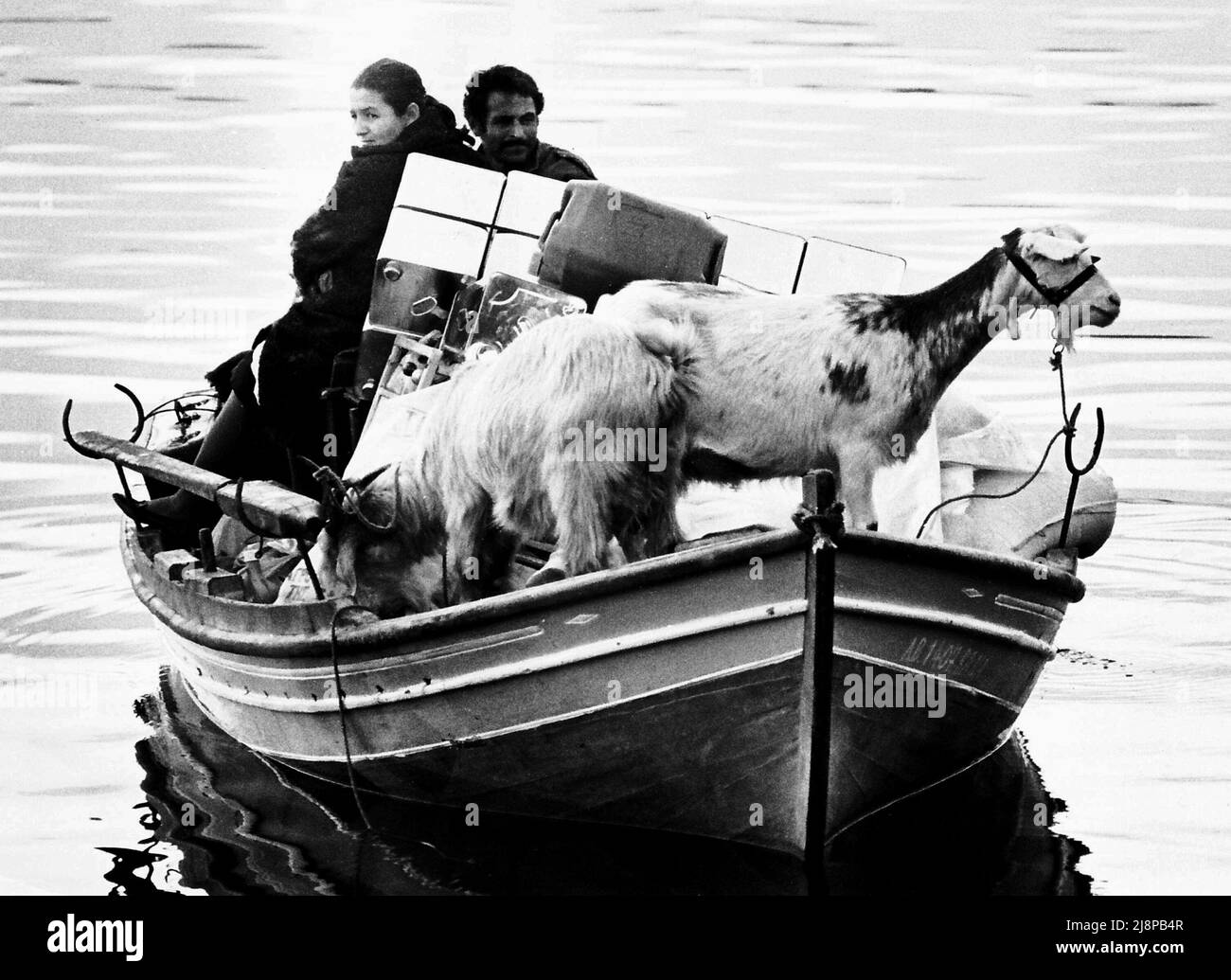 AJAXNETPHOTO. 1976. MELINA, GREECE. - GOAT A BOAT? - GOATS AND BOATS. THIS COUPLE - MOTHER IS CARRYING A BABY AND DAUGHTER IS HIDDEN BEHIND CANS - MOVED ALL THEIR BELONGINGS TO A NEW HOME ACROSS 5 MILES OF WATER IN ONE TRIP.  PHOTO:JONATHAN EASTLAND/AJAXREF:761511 1 26 Stock Photo