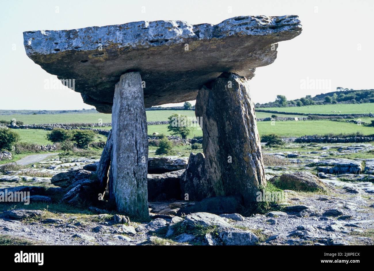 Ancient Ireland, Poulnabrone Dolmen in evening sunshine, a portal tomb in the west of Ireland, near Kilcorney County Clare Ireland. Stock Photo