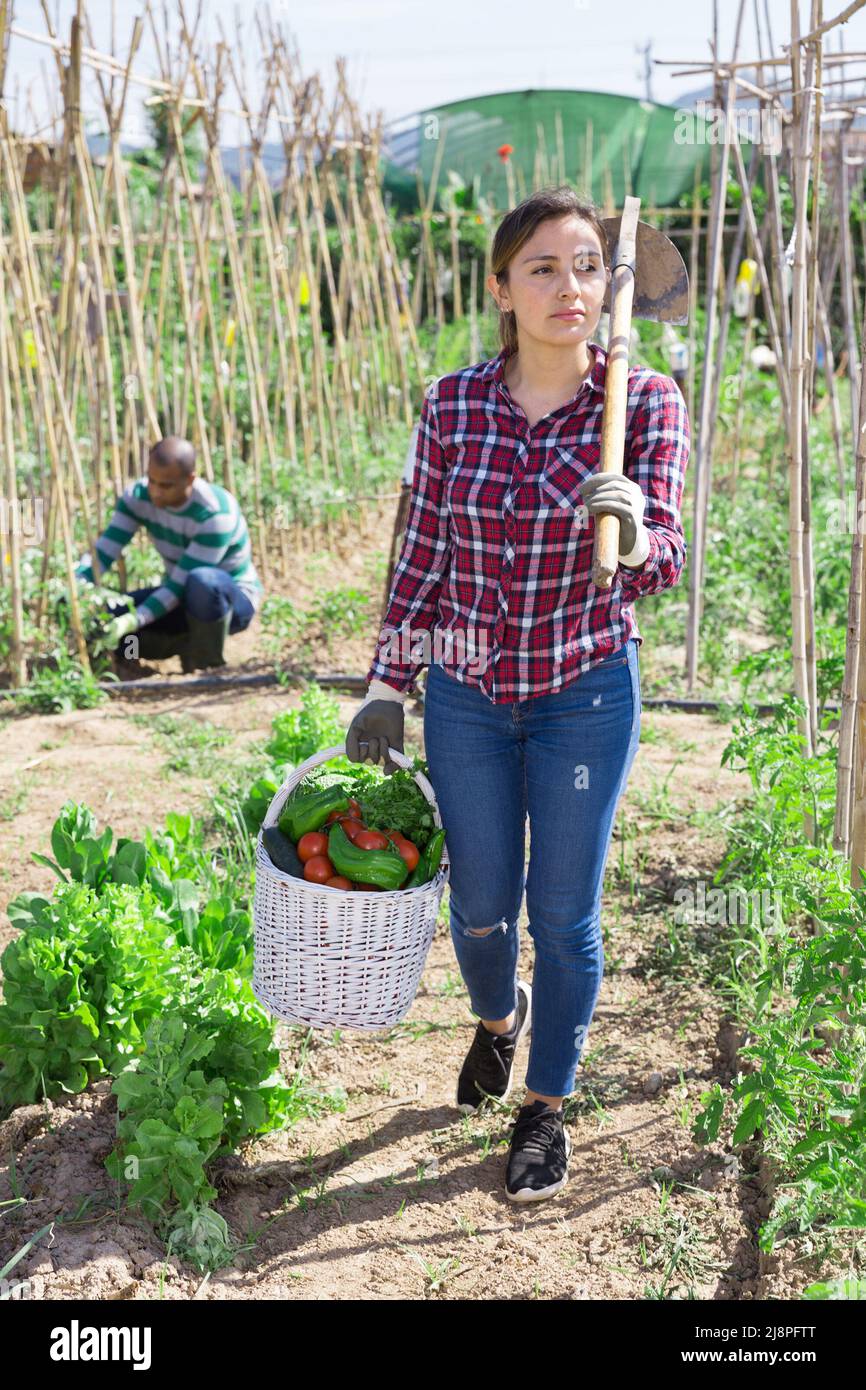 Young woman gardner holding basket with harvest Stock Photo - Alamy