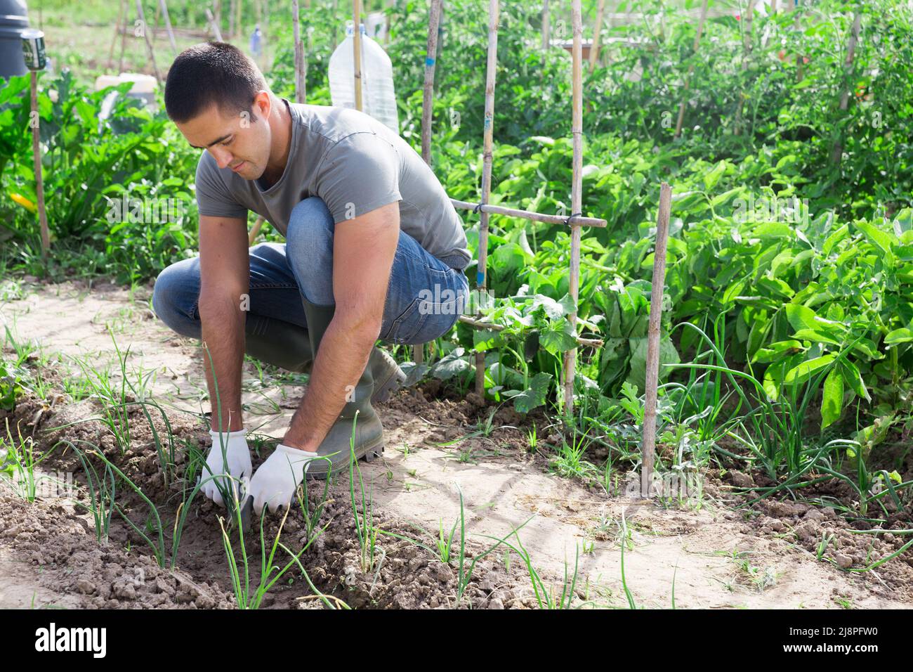 Georgia Man Fined For Growing Vegetables