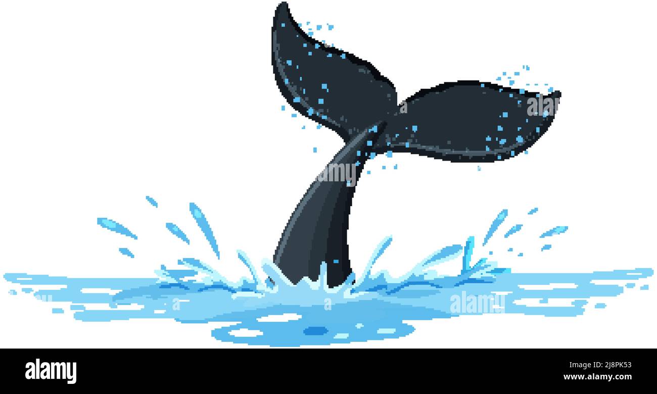 A tail of humpback whale above the water illustration Stock Vector ...