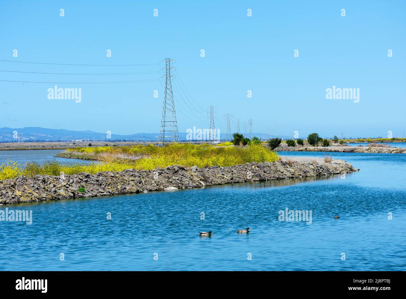 High voltage electricity power lines and transmission towers crossing the ponds, marshes and levees in San Francisco Bay, California. Stock Photo