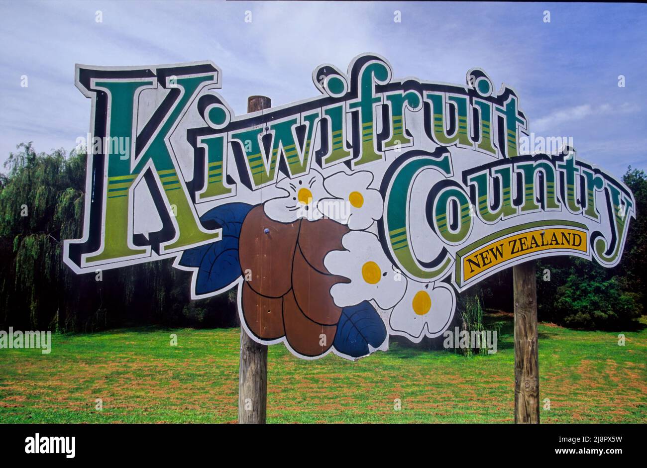 Kiwi hayward plant hi-res stock photography and images - Alamy
