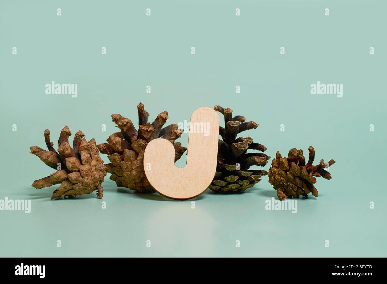 Letter J. A wooden letter of the English alphabet and four pine cones Stock Photo