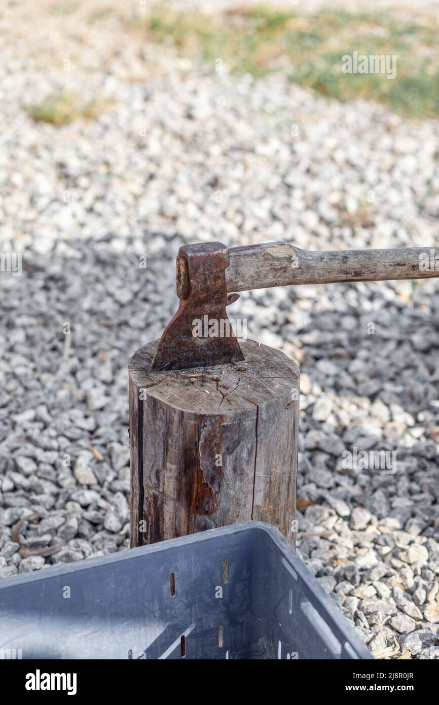 Village life. An axe in a stump or log for chopping firewood. The wood chopper sticks out in wooden hemp. Deforestation by a sharp axe. Rusty but very Stock Photo