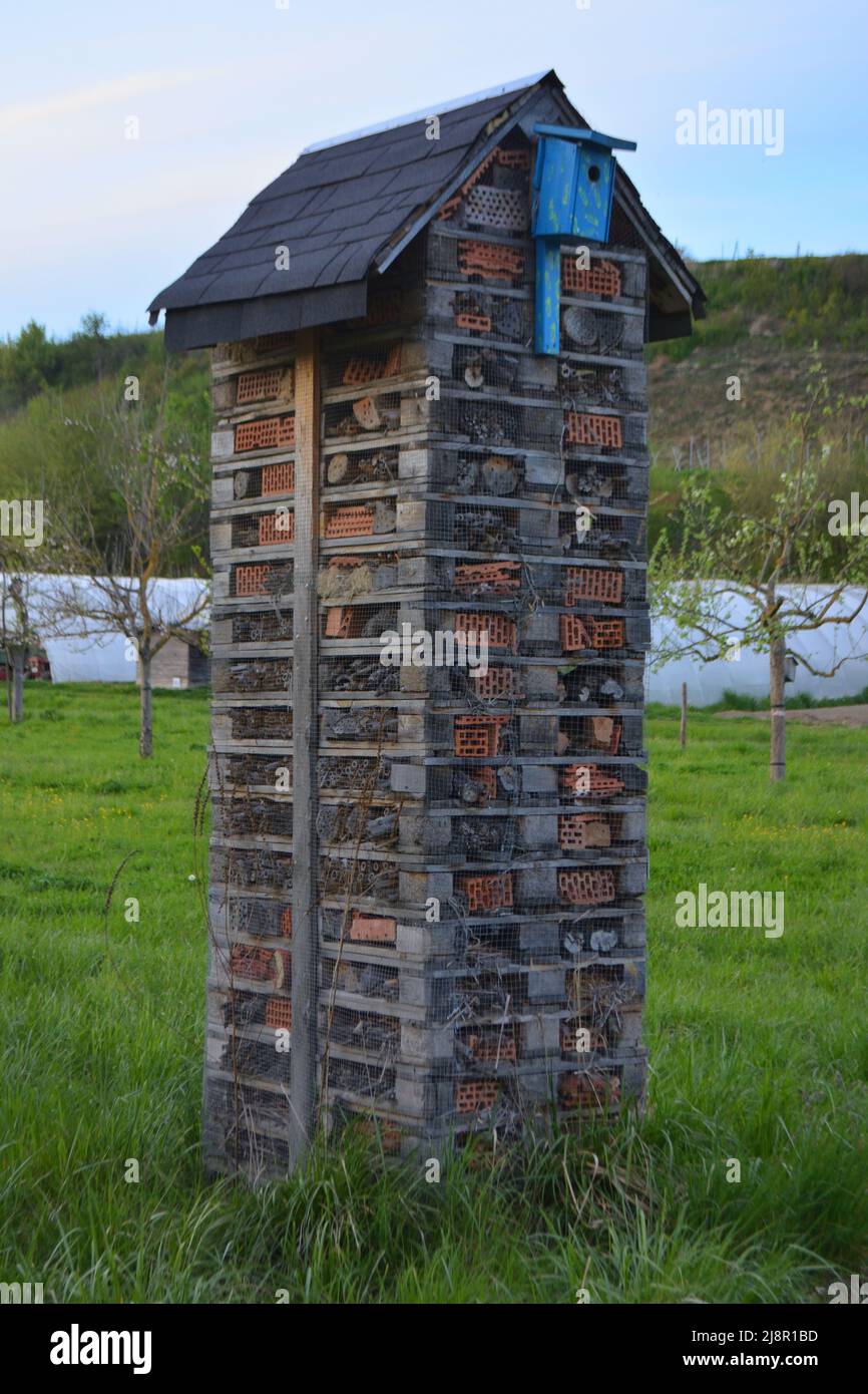 wooden insect house standing on a meadow Stock Photo