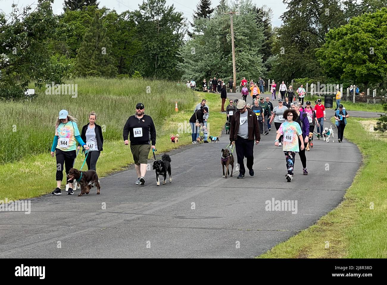 People participate with their dogs in the 29th Annual Run / Walk for ...