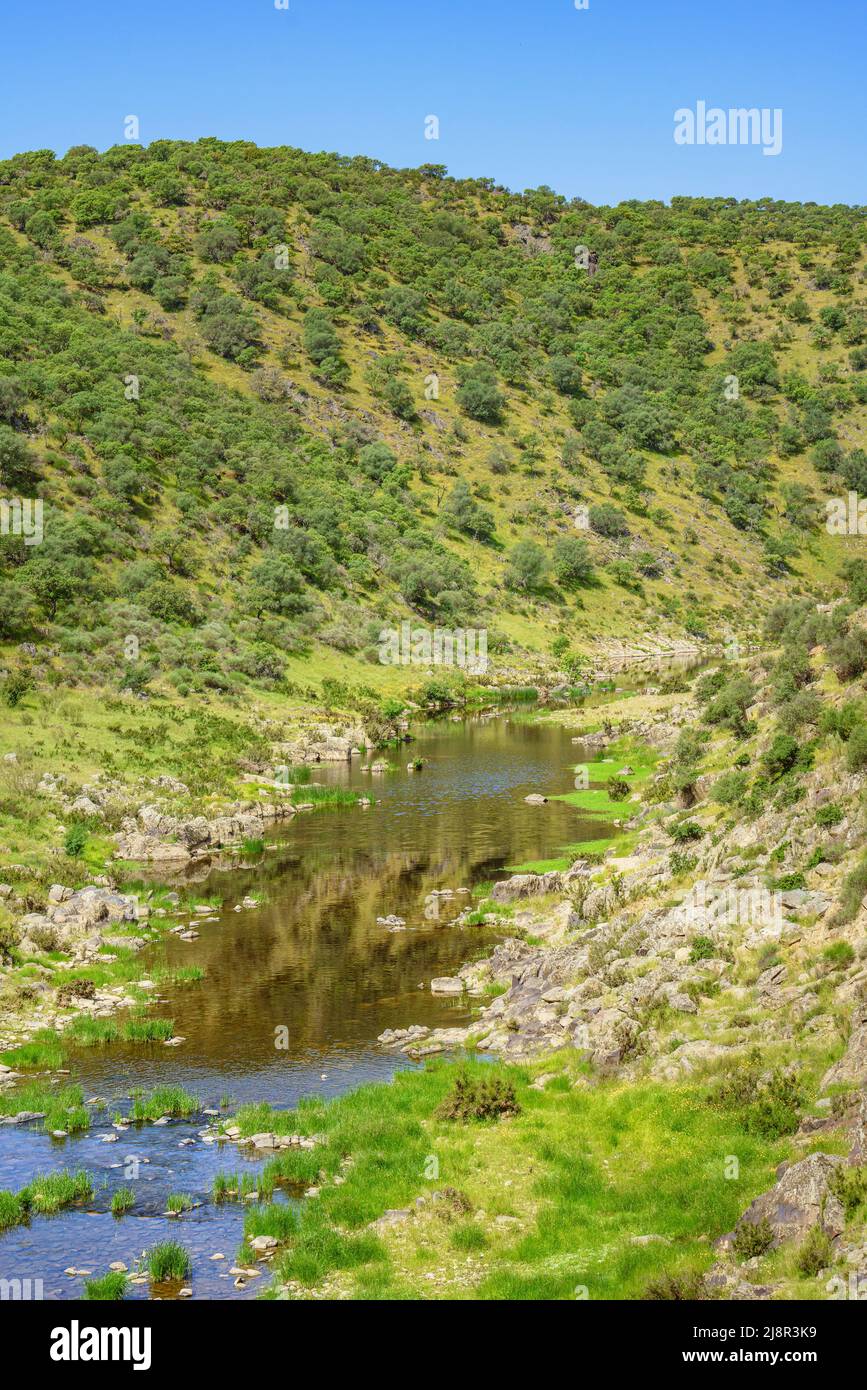 Clean river flows among green hills in Springtime. This is the Salor River in Extremadura, Spain Stock Photo