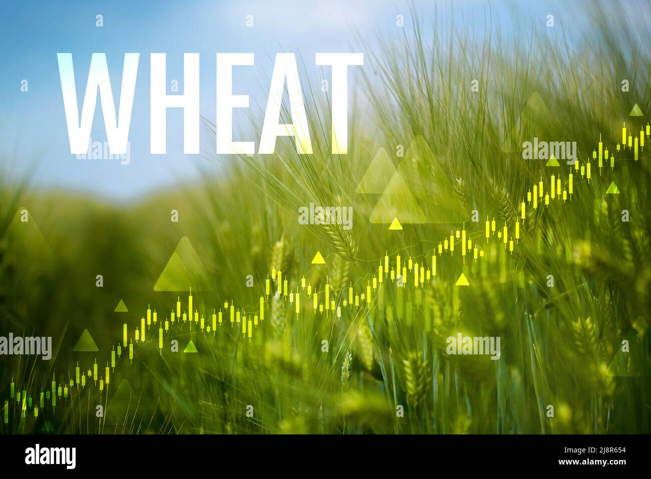 Cereal export hires stock photography and images Alamy