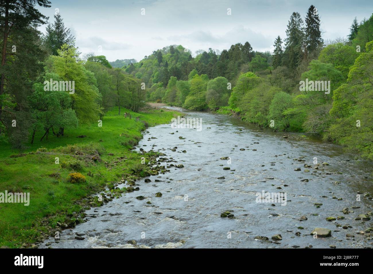 River Allen from Cupola Bridge, Whitfield, Northumberland Stock Photo Alamy