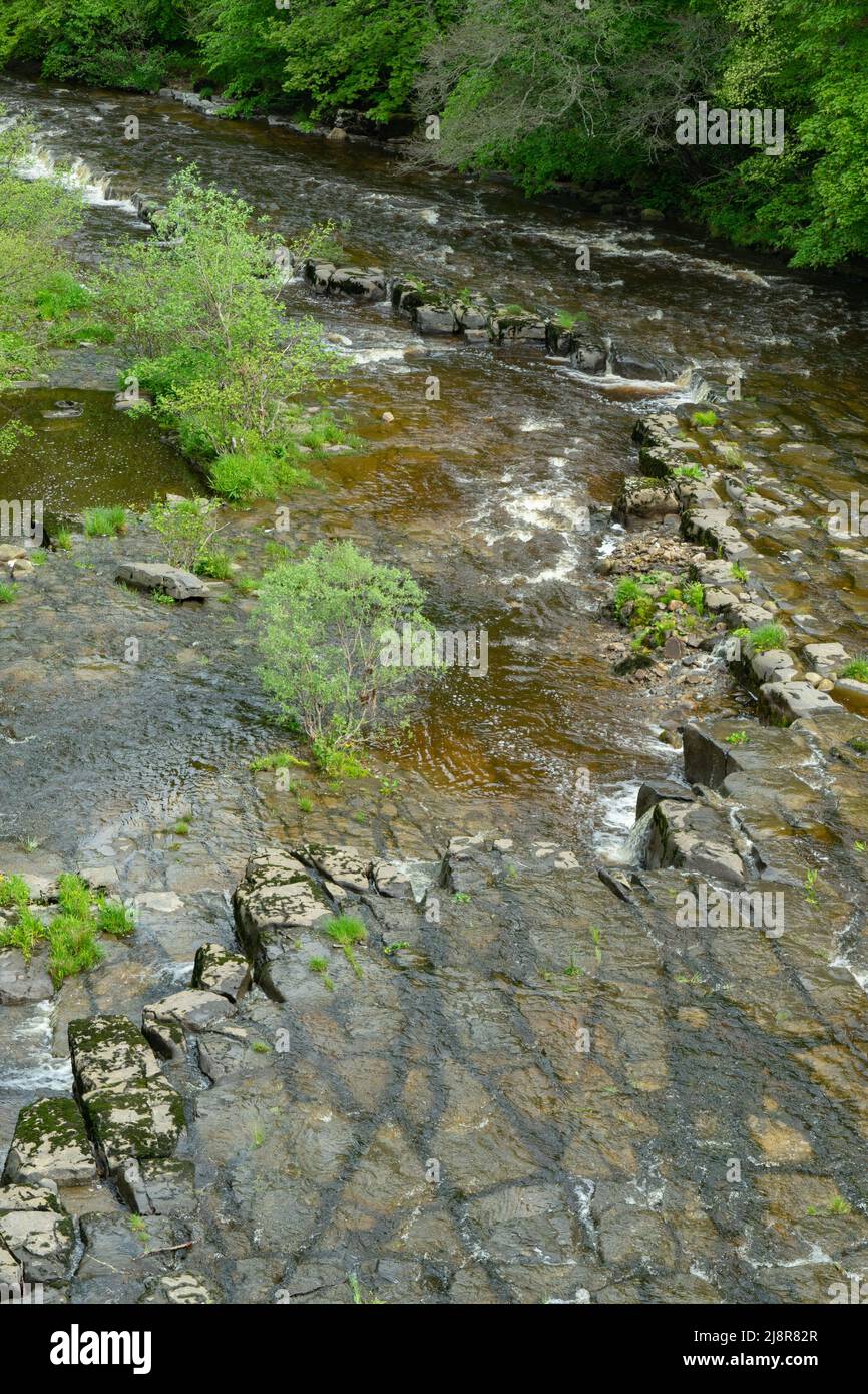 River Allen from Cupola Bridge, Whitfield, Northumberland Stock Photo Alamy