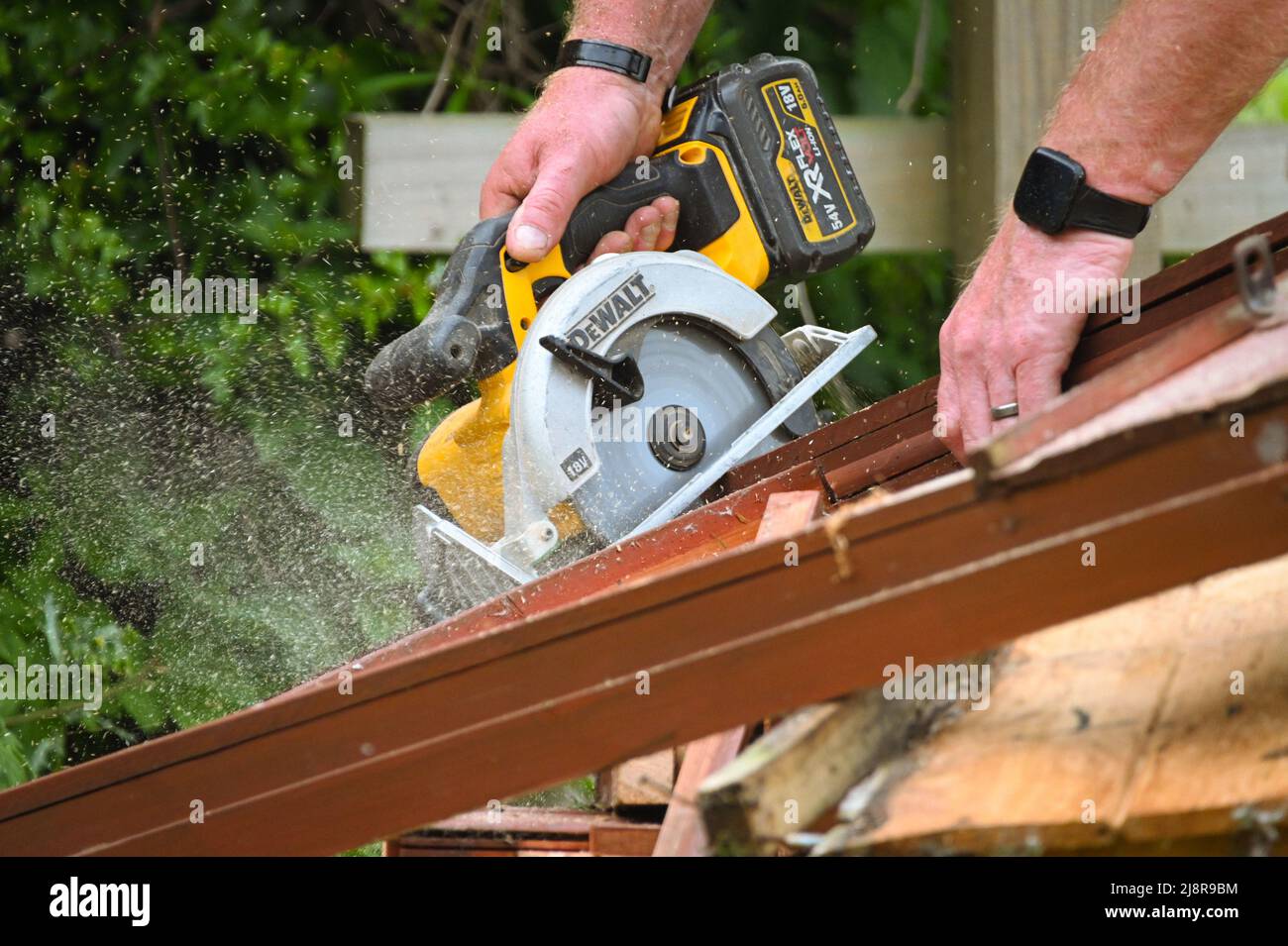 Cordless Dewalt circular saw, Skilsaw, being used to cut through old wooden fence panels Stock Photo