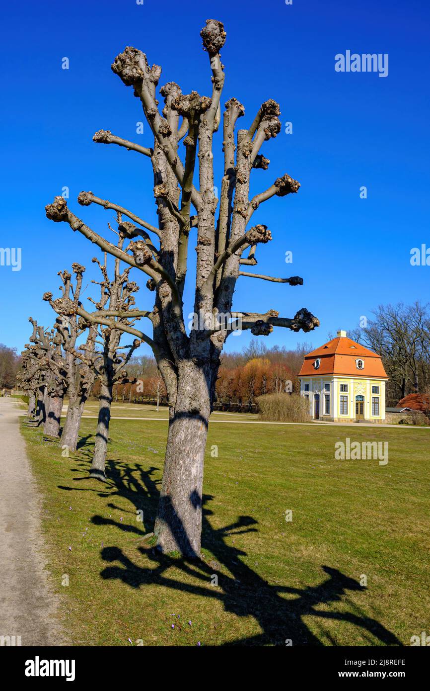 Tree-lined alley and Cavalier House (Kavaliershaus), Northern and rear entrance to Moritzburg Palace in Moritzburg near Dresden, Saxony, Germany. Stock Photo