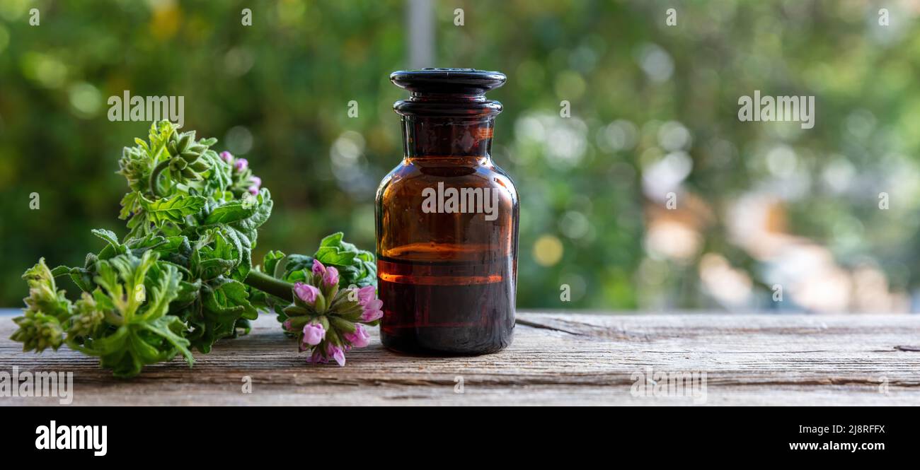 Citronella geranium essential oil glass bottle on wooden table, close up view. Aromatherapy oil, mosquito repellent, blur nature background Stock Photo