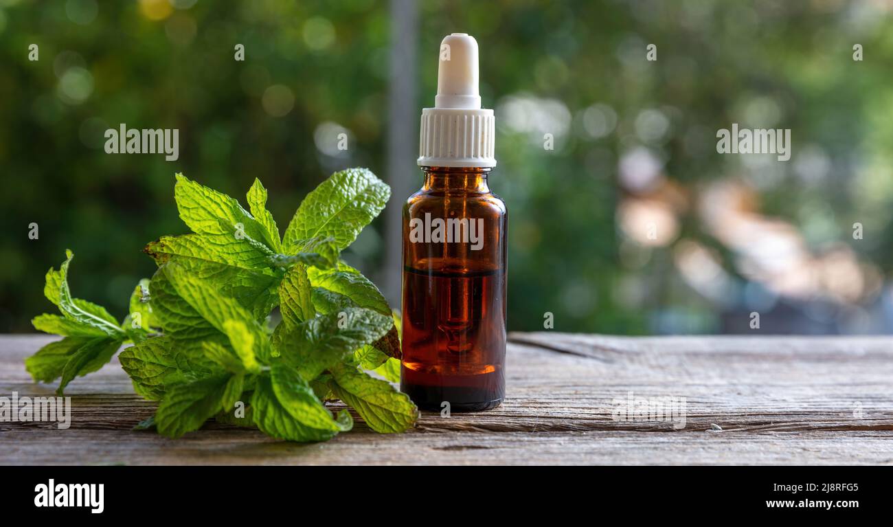 Peppermint mint essential oil glass bottle on wooden table, close up view. Aromatherapy herb, blur nature background, copy space Stock Photo
