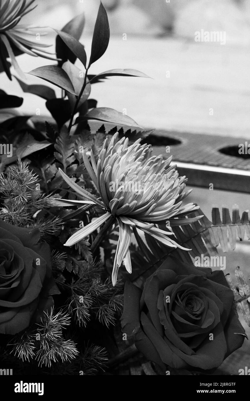 Decorative bouquet flowers festive Black and White Stock Photos ...