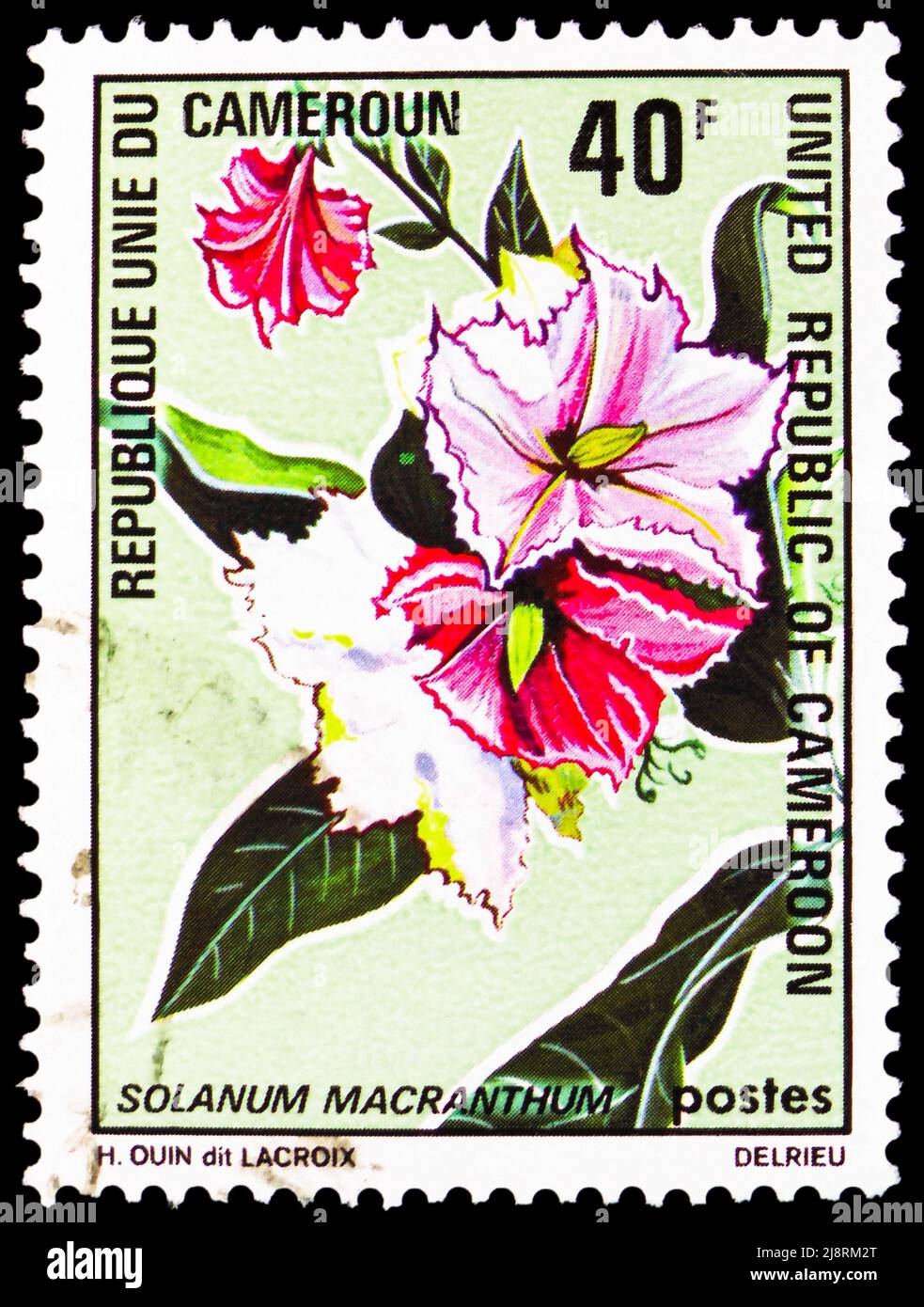 MOSCOW, RUSSIA - MAY 14, 2022: Postage stamp printed in Cameroon shows Potato tree (Solanum macranthum), Flowers 1972 serie, circa 1972 Stock Photo
