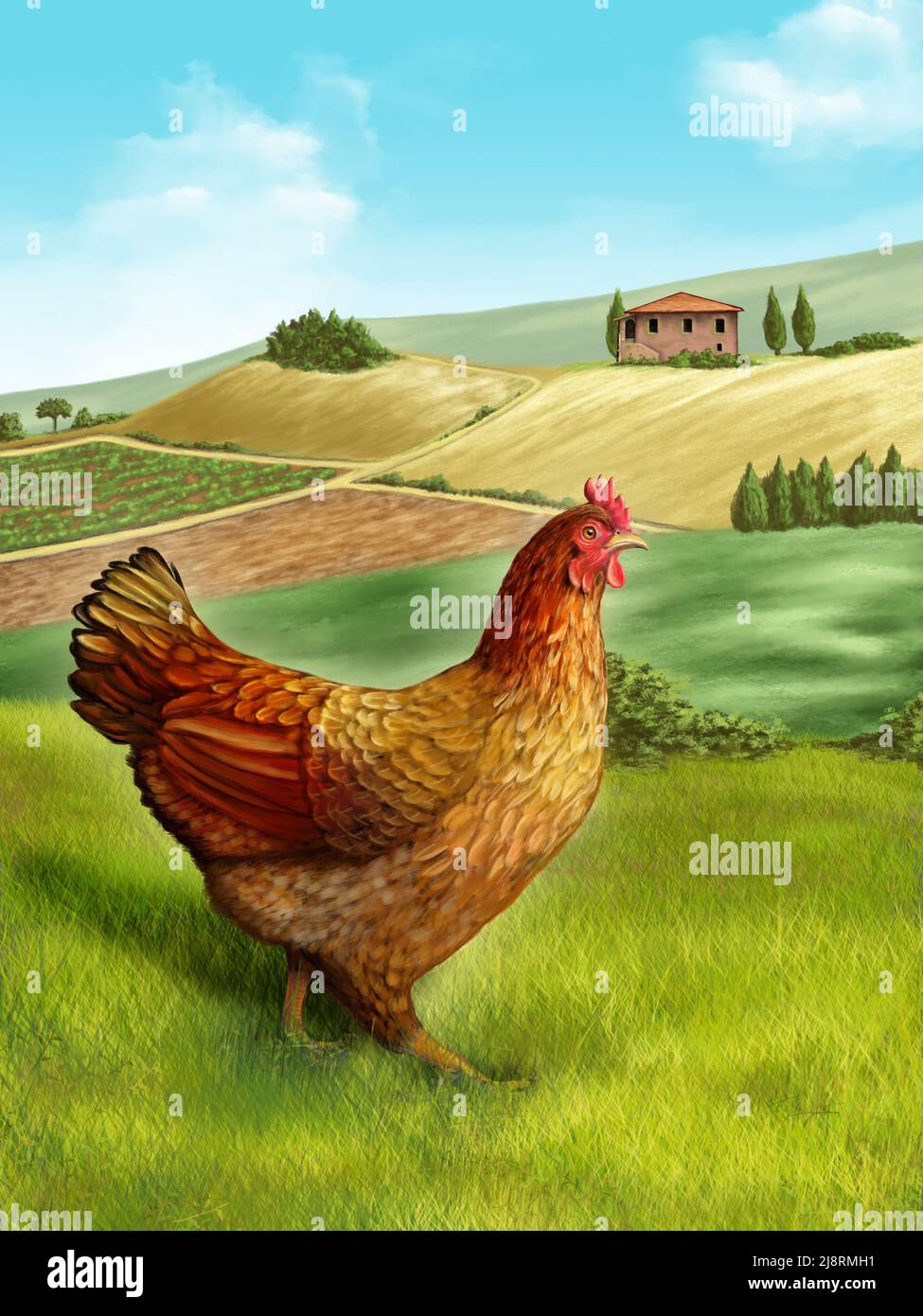 Hen in a beautiful rural landscape. Digital illustration. Stock Photo