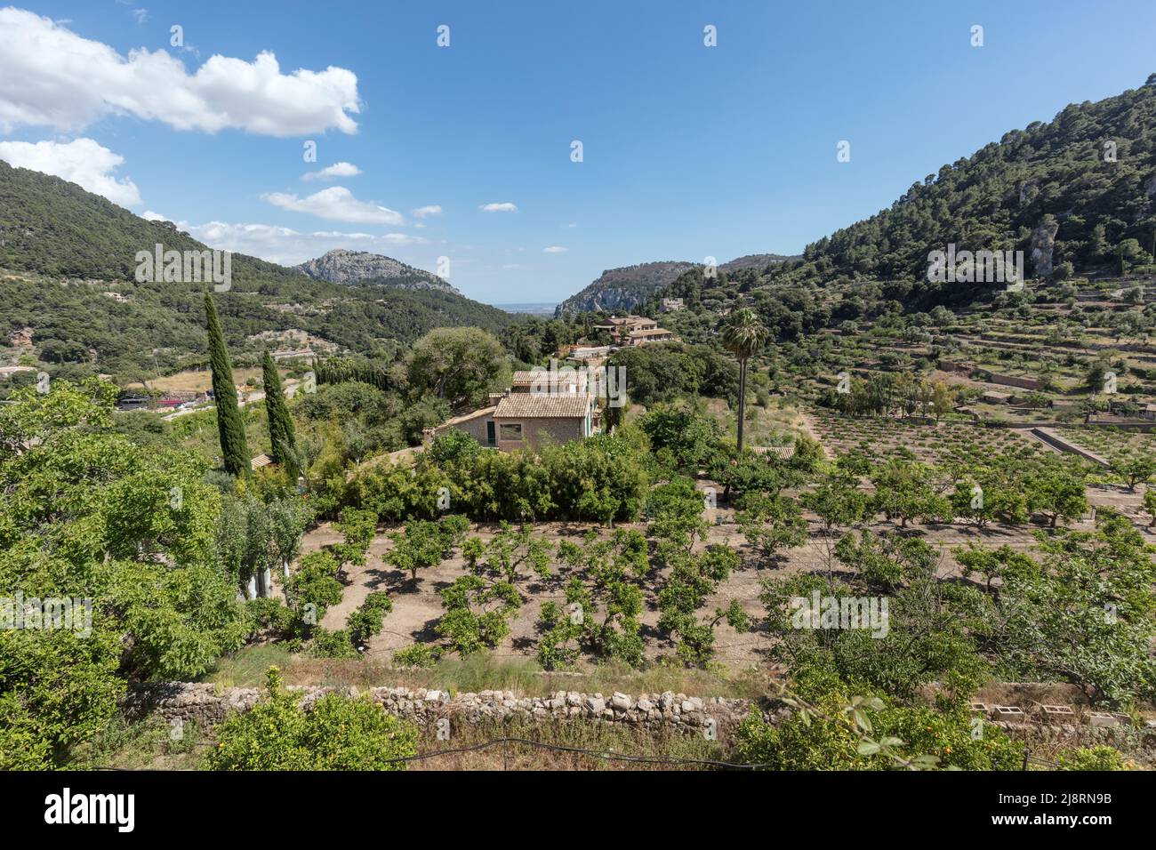 Terraced farming and buildings on the edge of Valldemossa town in UNESCO world heritage site Serra De Trumantana mountains Stock Photo