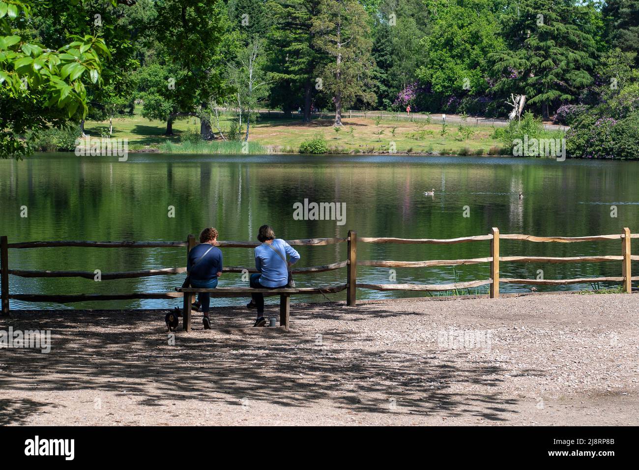 Englefield Green, Egham, Surrey, UK. 17th May, 2022. A moment of