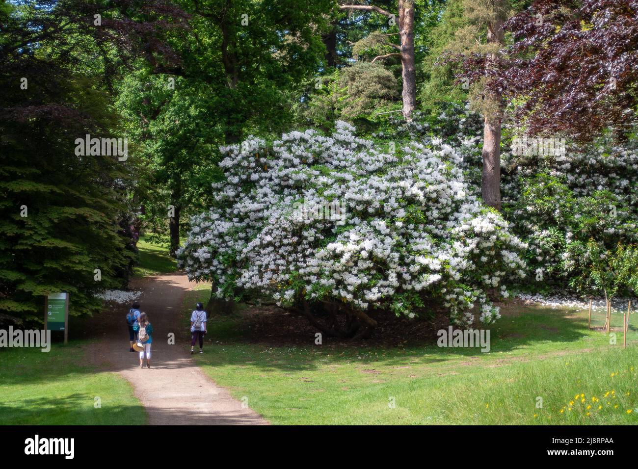 Englefield Green, Egham, Surrey, UK. 17th May, 2022. A beautiful warm