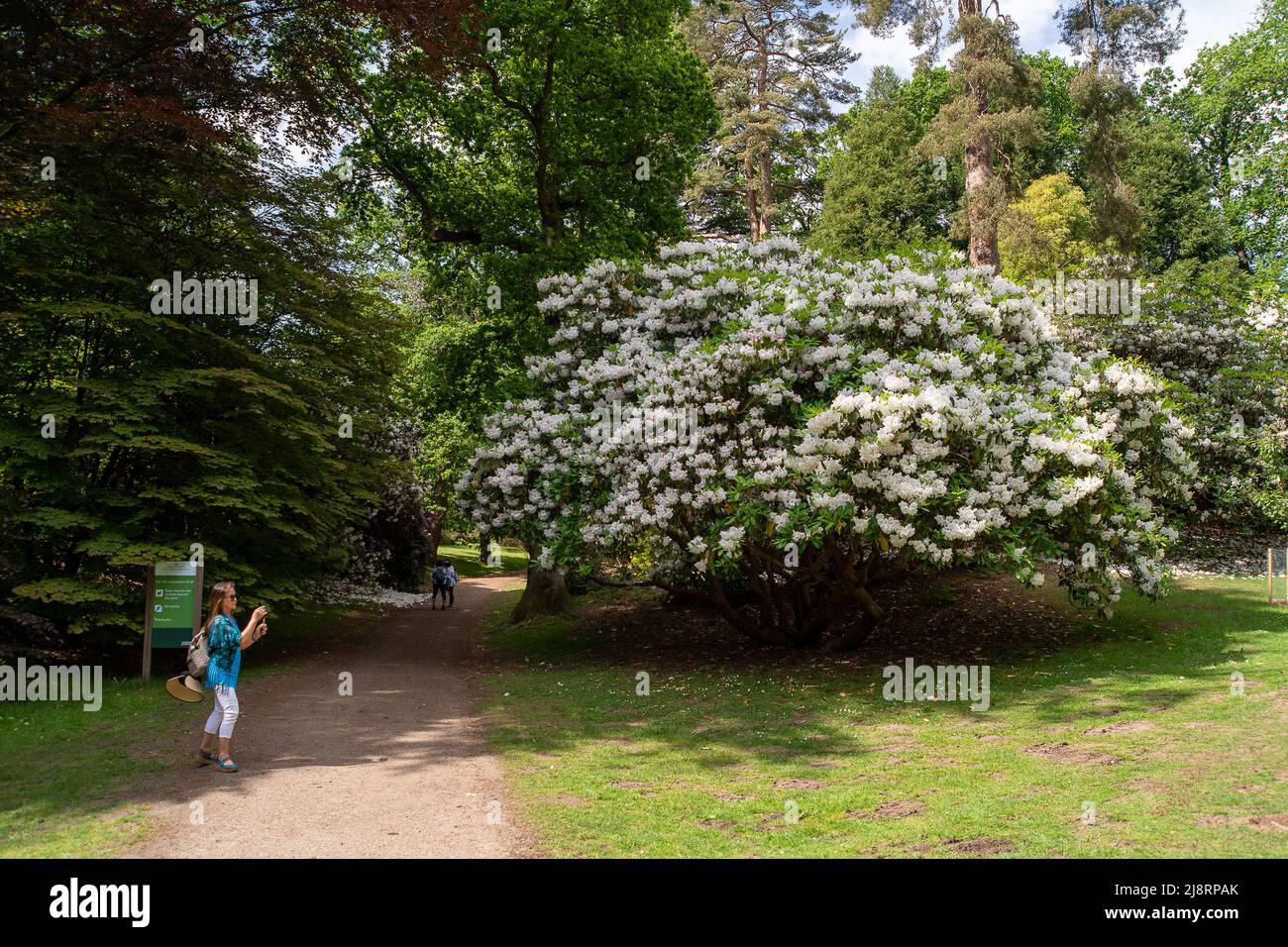 Englefield Green, Egham, Surrey, UK. 17th May, 2022. A beautiful warm