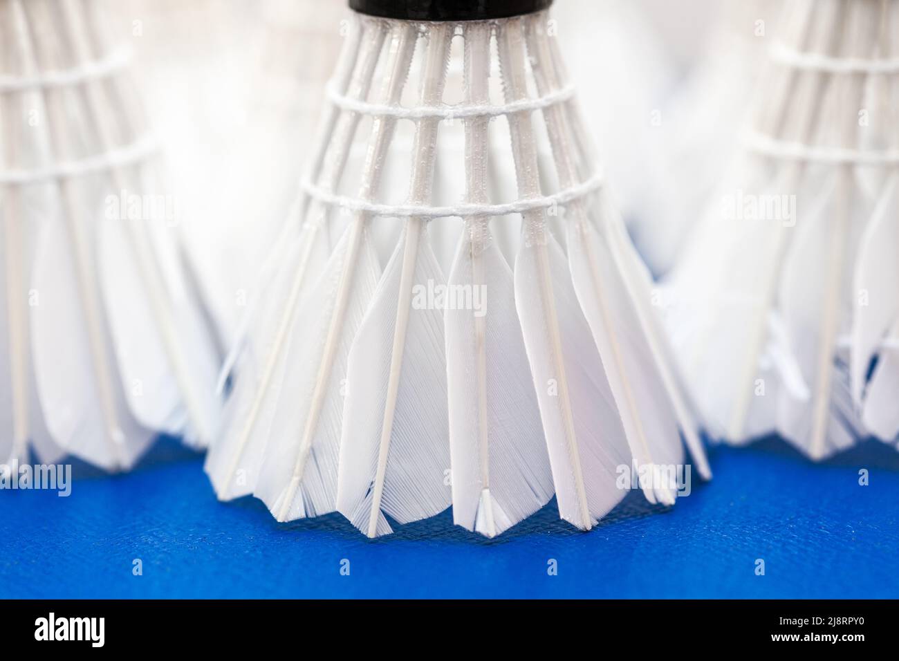 Feather shuttlecock for badminton rackets . Goose Feather for sport