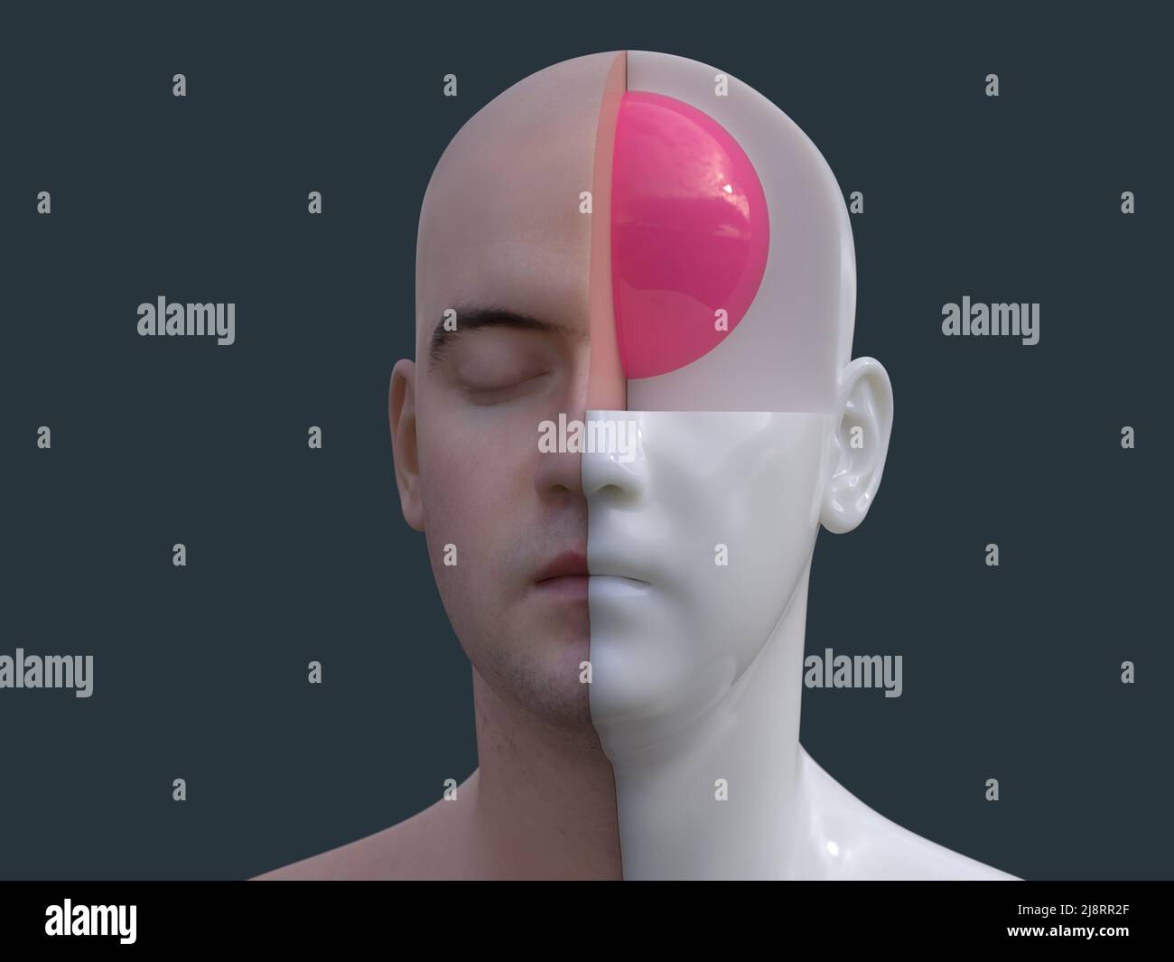 Artificial body parts hires stock photography and images Alamy