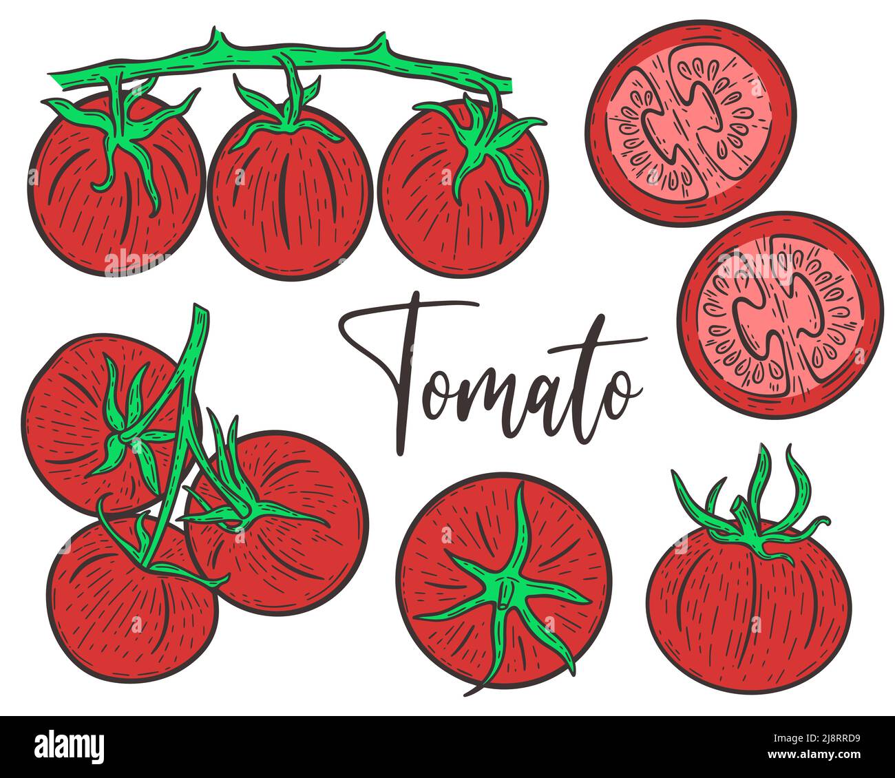 Set red tomatoes hand engraved Stock Vector