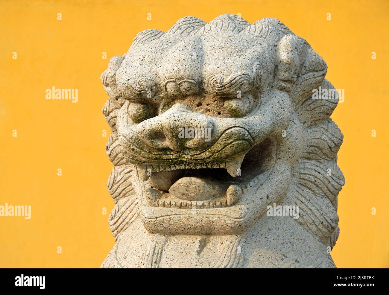 Zhenjiang, Jiangsu Province, China: Detail of a traditional Chinese lion statue against a yellow background at Dinghui Temple in Zhenjiang. Stock Photo