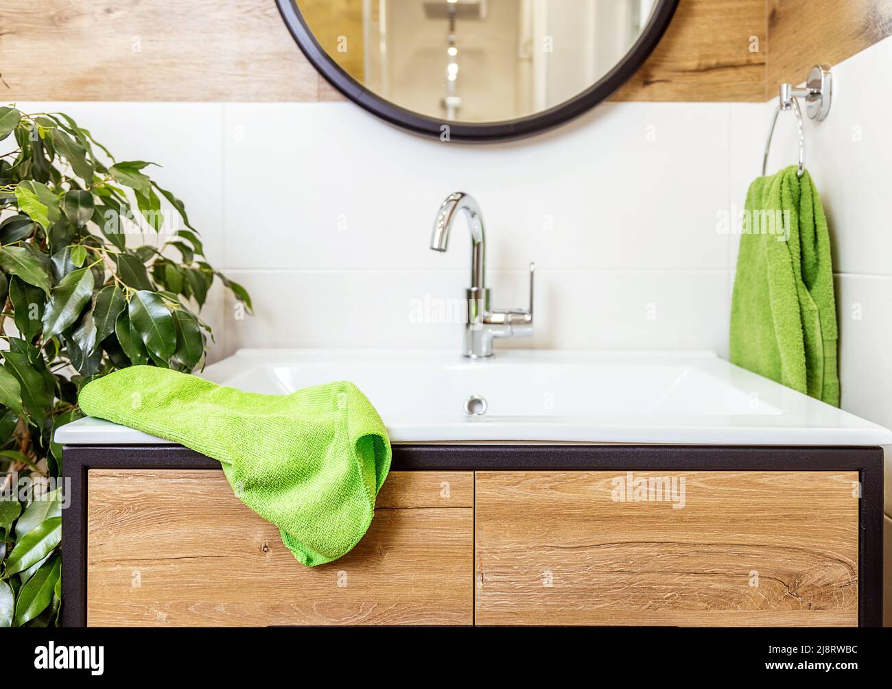 Bathroom interior with green plants, washbasin close-up with copy paste ...