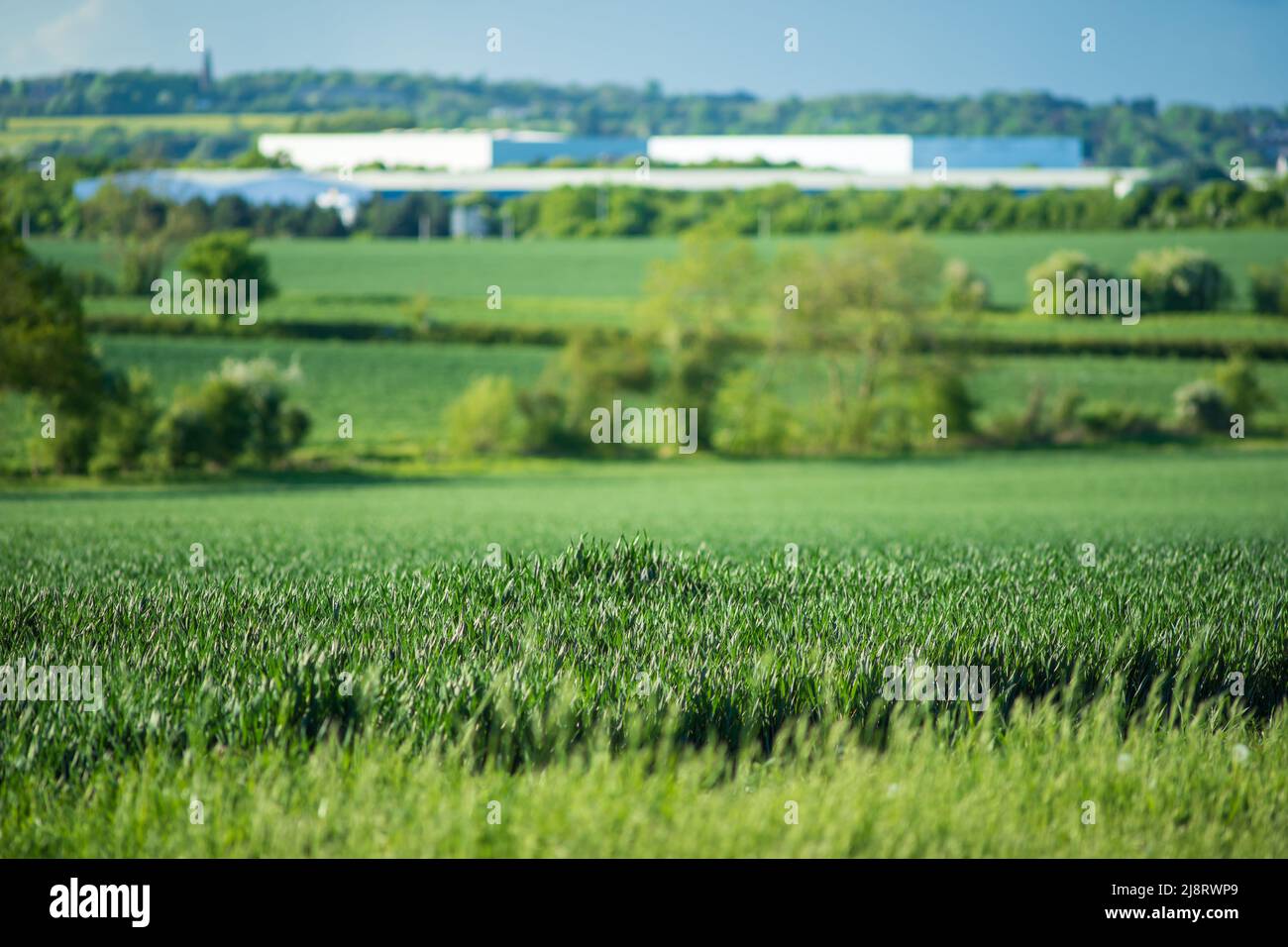 new built distribution warehouse building with farm fields in foreground in england uk Stock Photo