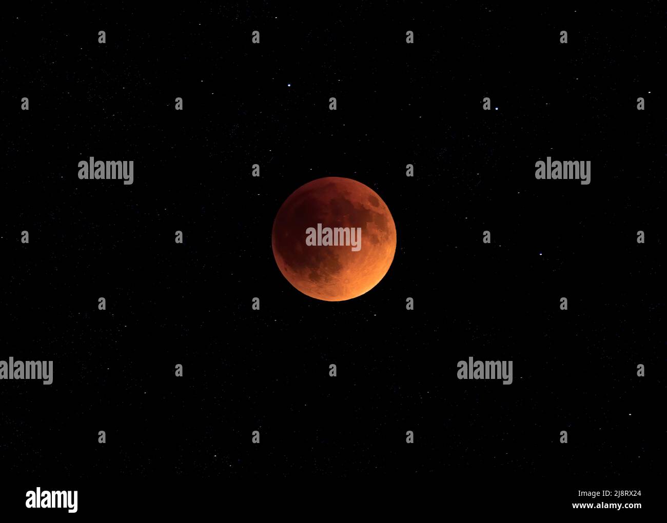 Super Flower Blood moon - Total Lunar eclipse taken on May 15, 2022, Canada Stock Photo