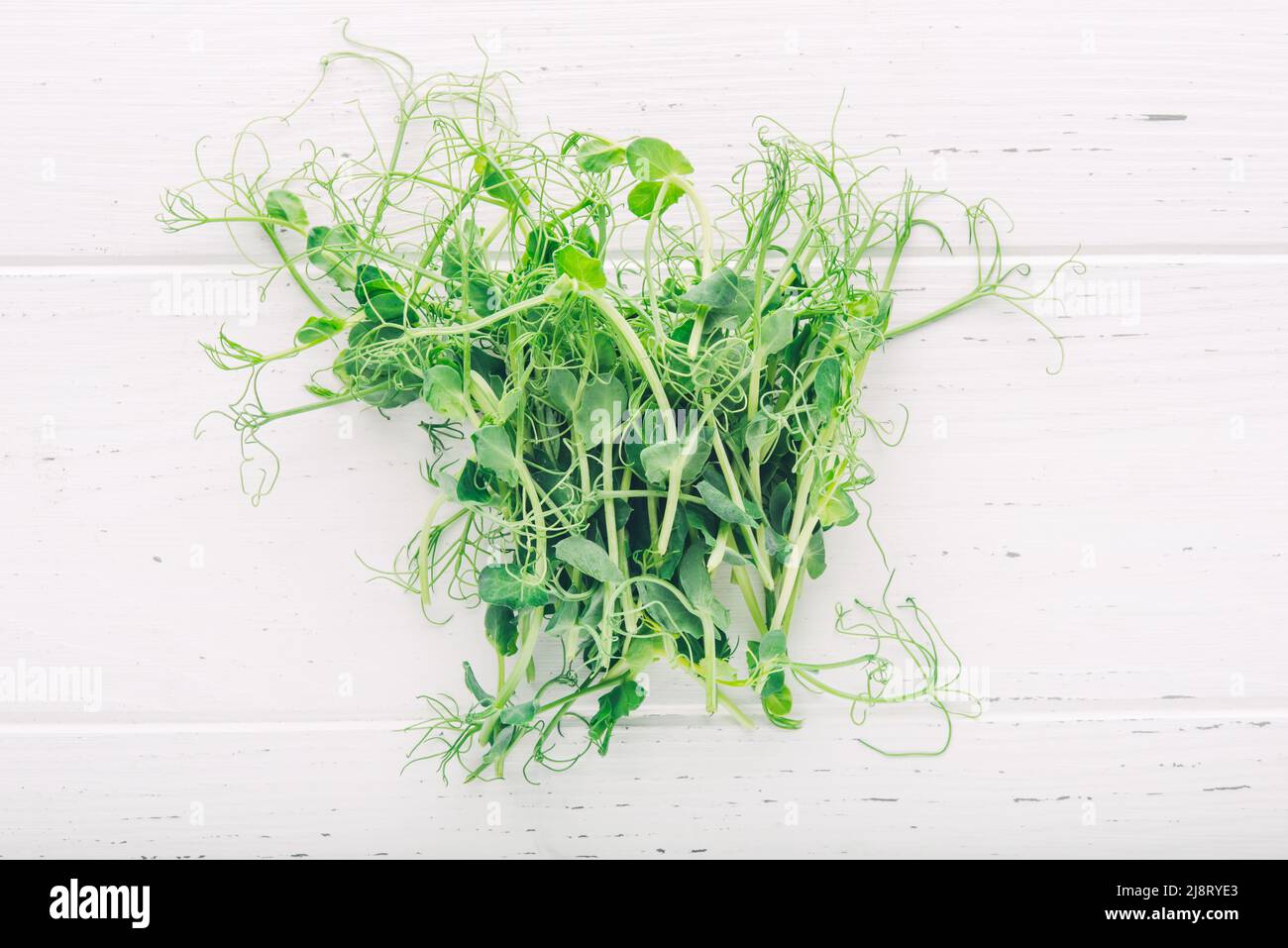 Peas microgreens on a white table. Stock Photo