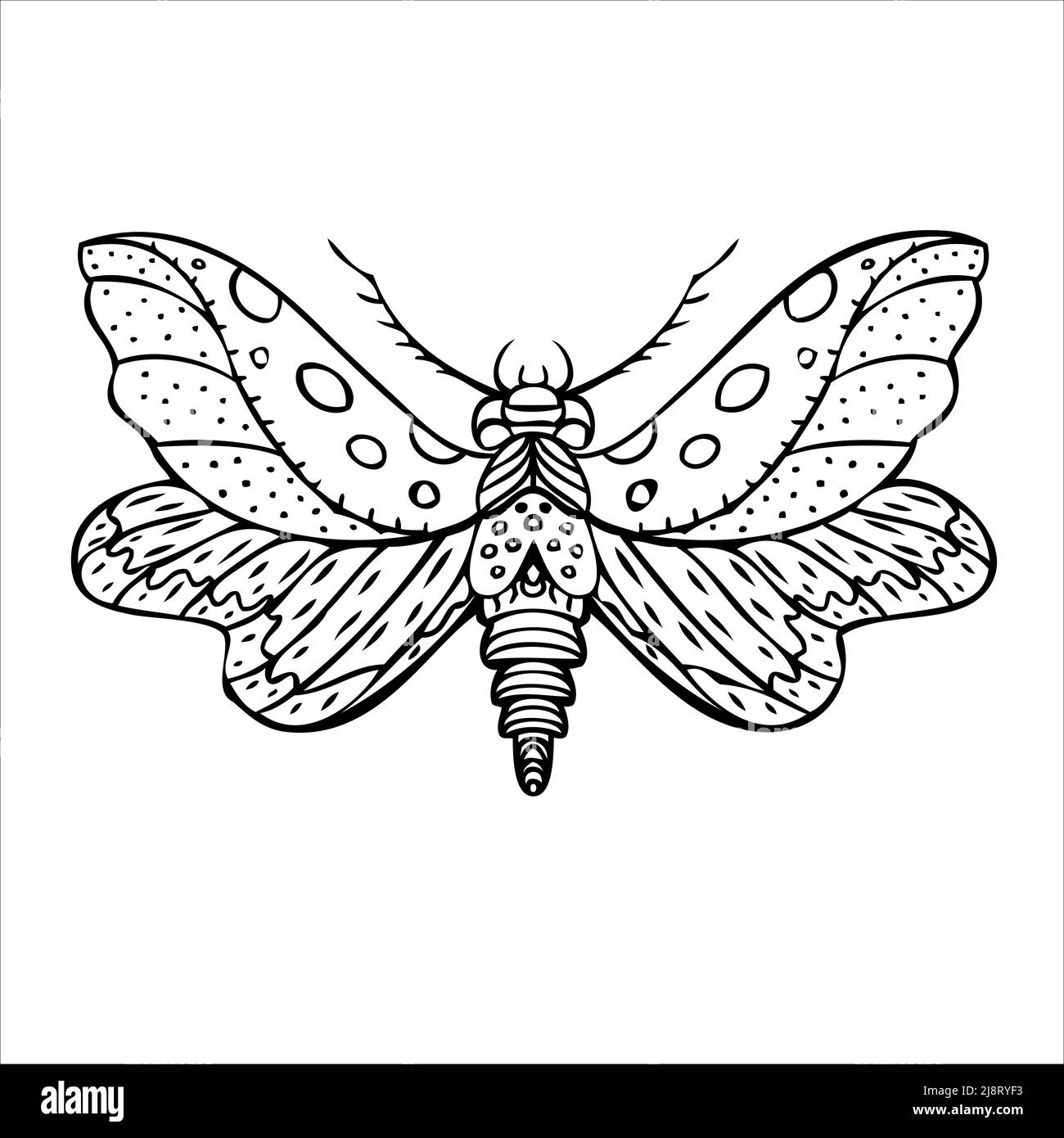 Night butterfly, moths. Hand drawn vector illustration Stock Vector ...