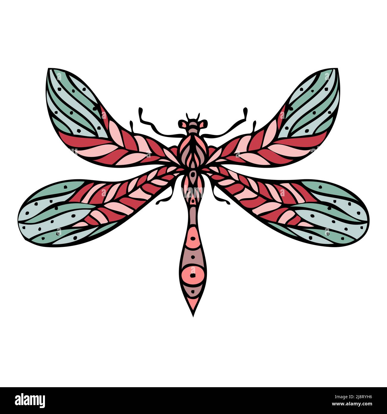 Colorful dragonfly hand drawn isolated vector illustration Stock Vector